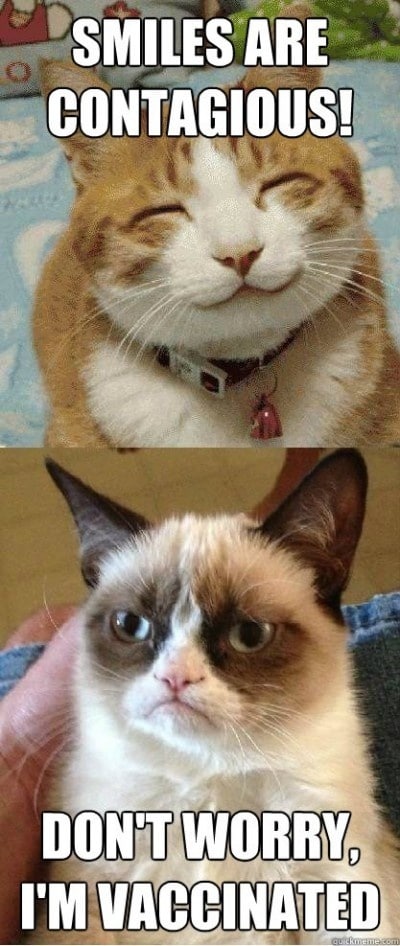 Animal Memes - dont worry