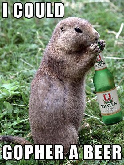 Animal Memes - i could gopher a beer