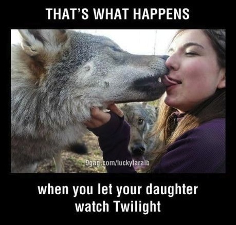 Funny Animal Memes - thats what happens