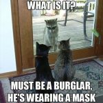 Funny Animal Memes - what is it