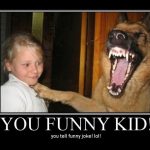 Funny Animal Memes - you funny kid
