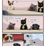 Funny Animals Memes - meanwhile at the cat meme factory