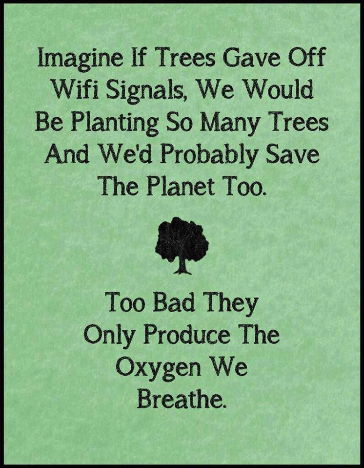 Funny Ecards - imagine if trees