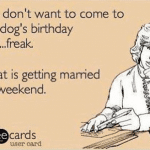 Funny Memes - Ecards - my cat is getting married