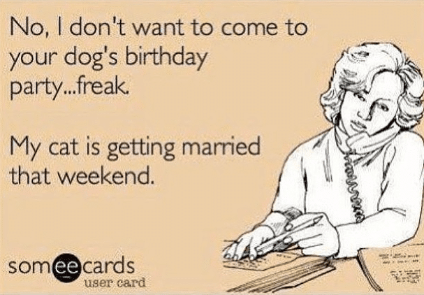 Funny Memes - Ecards - my cat is getting married