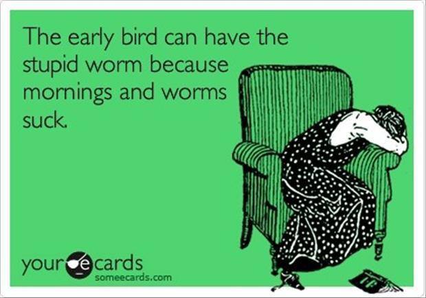 Funny Memes - Ecards - the early bird