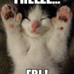 Animal Memes - freeze fbi