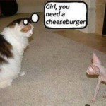 Animal Memes - girl you need a cheeseburger