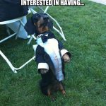 Animal Memes - good afternoon sir