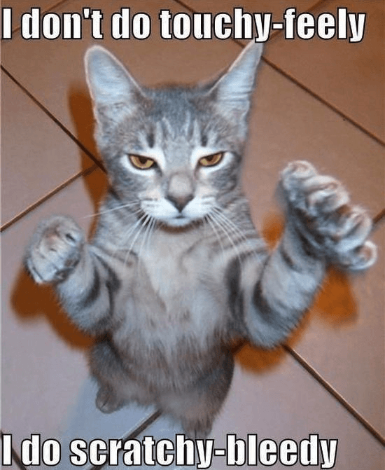 Animal Memes - i dont do touchy feely