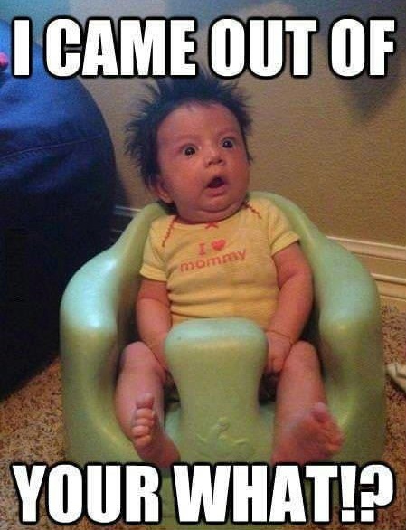 Baby Memes - i came out of