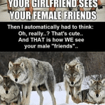 Funny Animal Memes - thats how