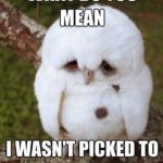 Funny Animal Memes - what do you mean