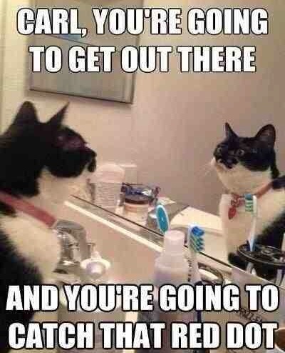 Funny Animal Memes - youre going to get there