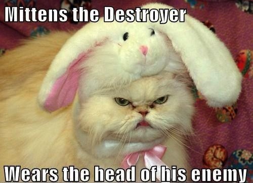 Funny Animals Memes - mittens the destroyer