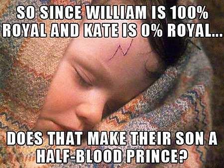 Funny Baby Memes - royal family memes 4