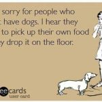 Funny Ecards - i feel sorry for people