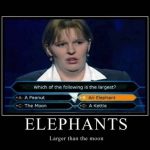 Funny Memes - elephants larger than the moon