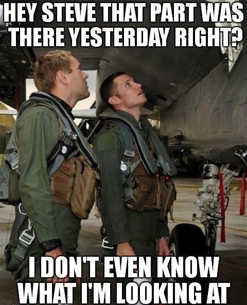 Funny Memes - hey steve