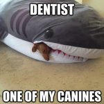 Funny Memes - i need to see a dentist