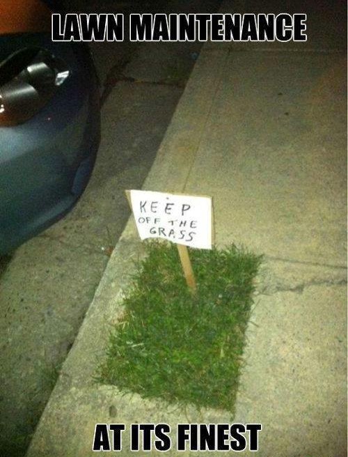 Funny Memes - lawn maintenance