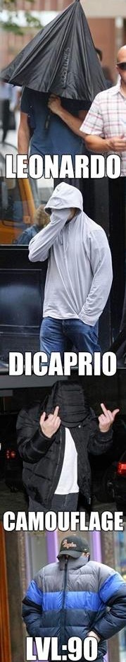 Funny Memes - leo camouflage