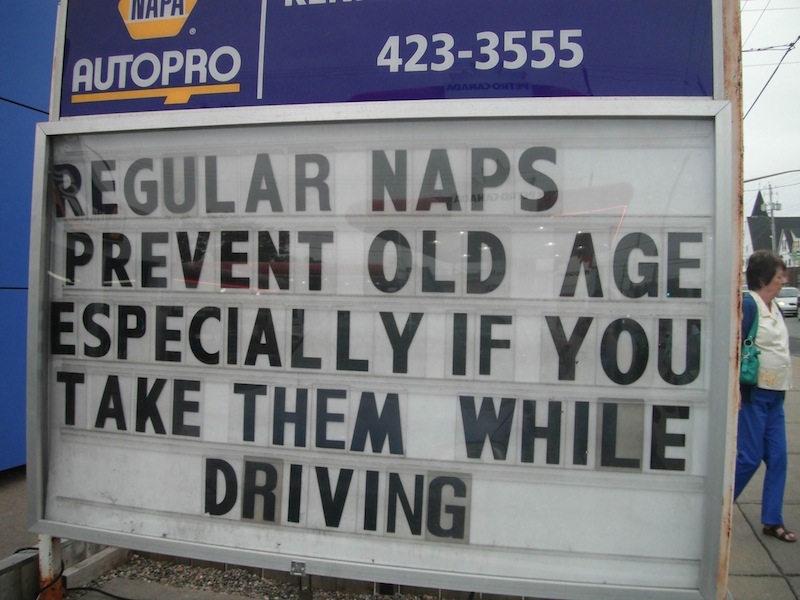 Funny Memes - regular naps