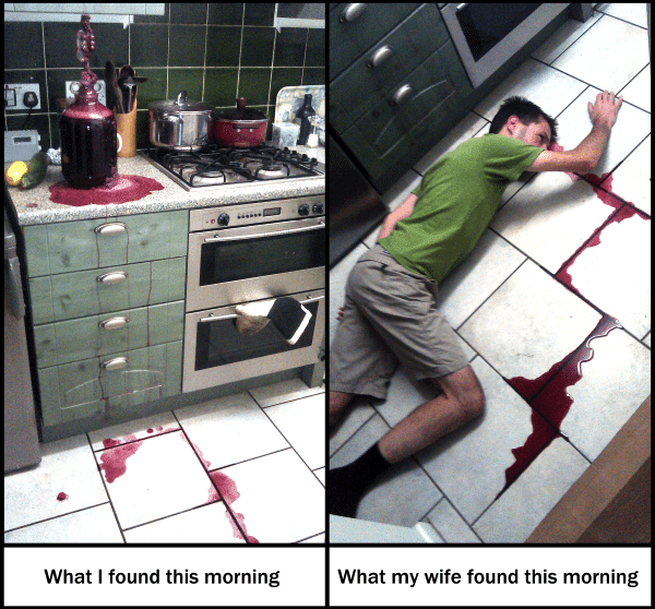 Funny Memes - what i found this morning