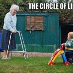 the circle of life