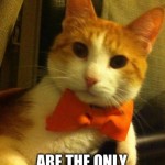 Animal Memes - formal dances