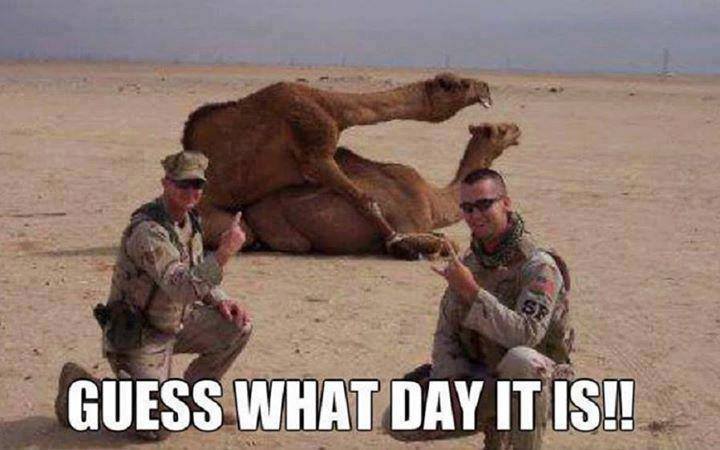 Animal Memes - guess what day