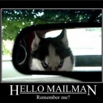 Animal Memes - hello mailman