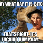 Funny Animal Memes - its hump day