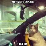 Funny Animal Memes - no time to explain