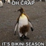 Funny Animal Memes - oh crap