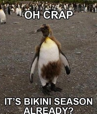 Funny Animal Memes - oh crap