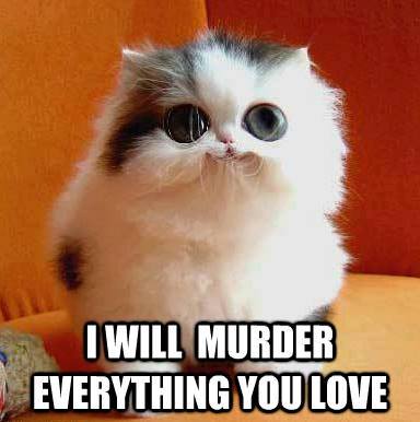 Funny Animal Memes - psycho kitty