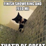 Funny Animal Memes - yeah if you could