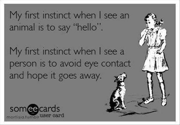 Funny Memes - Ecards - my first instinct