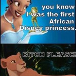 Funny Memes - first african disney princess