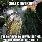 Funny Memes - self control