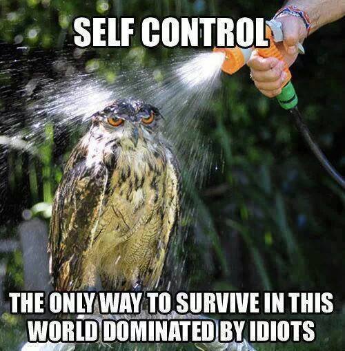 Funny Memes - self control