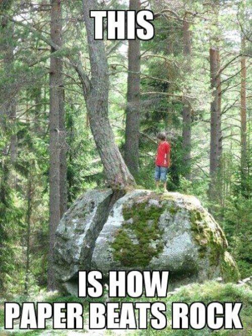Funny Memes - this is how