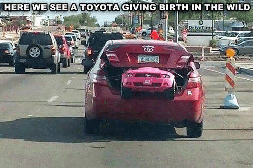 Funny Memes - toyota giving birth