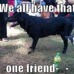 Funny Memes - we all have