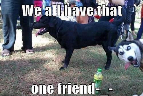 Funny Memes - we all have