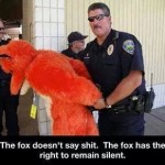 Funny Memes - what does the fox say
