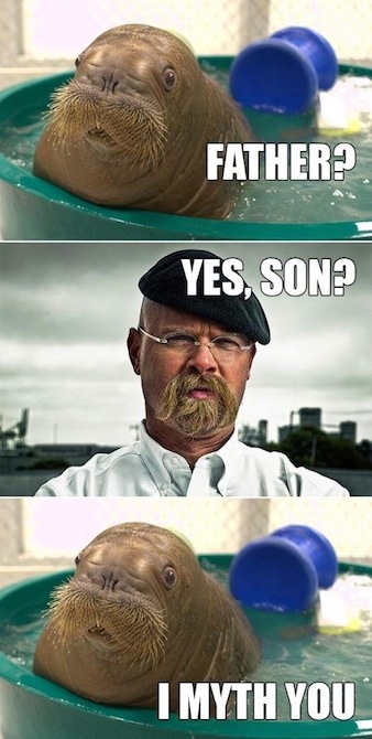 Funny Memes - yes son