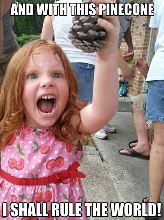 Funny Memes: and with this pinecone