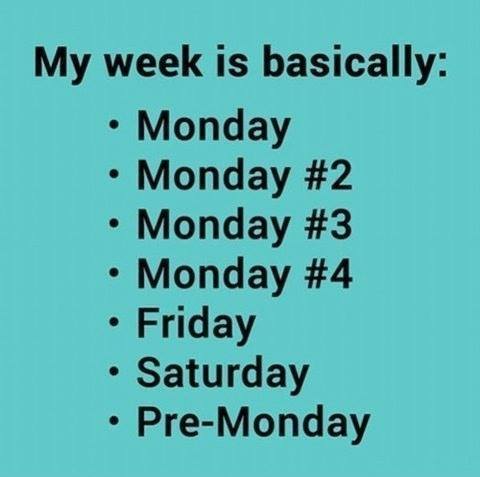 Funny Memes -my week